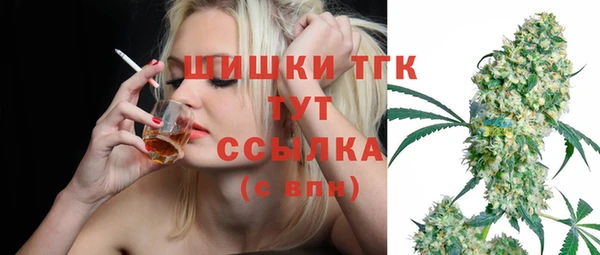 МДПВ Новодвинск