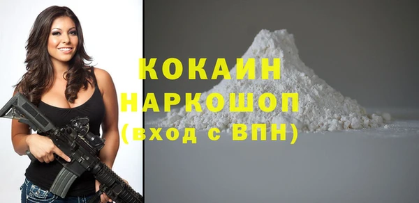 стаф Новокубанск