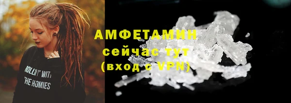 стаф Новокубанск