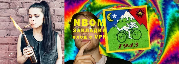 стаф Новокубанск