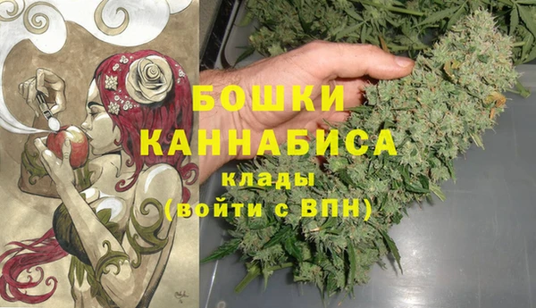 Альфа ПВП Нягань