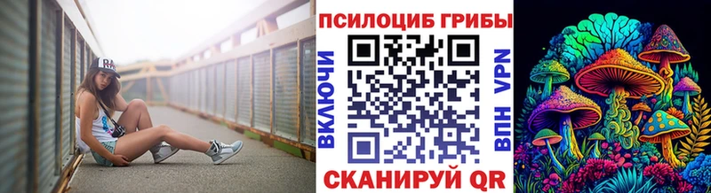 как найти наркотики  Кулебаки  Псилоцибиновые грибы Psilocybine cubensis 
