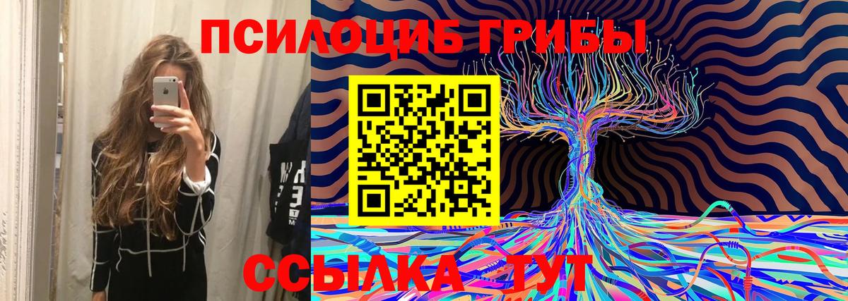 Псилоцибиновые грибы Psilocybe  Псилоцибиновые грибы GOLDEN TEACHER  Кулебаки 