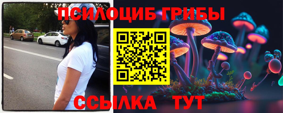 Кулебаки  продажа наркотиков  Вход с VPN  Псилоцибиновые грибы прущие грибы 